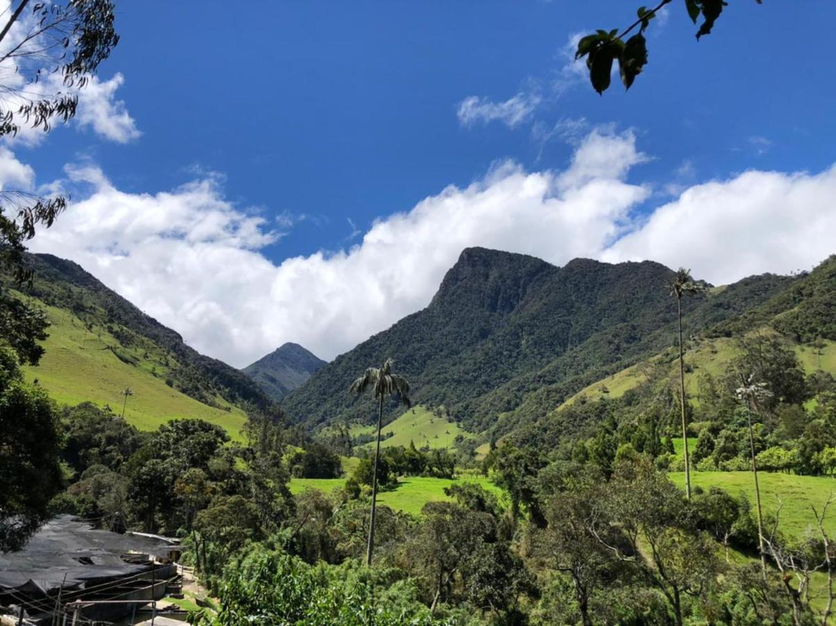 Cabanas Valle Del Cocora La Truchera Саленто Экстерьер фото