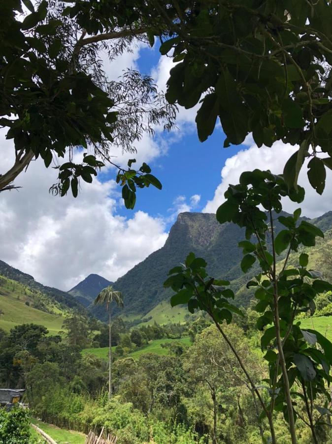 Cabanas Valle Del Cocora La Truchera Саленто Экстерьер фото