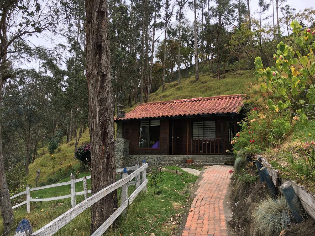Cabanas Valle Del Cocora La Truchera Саленто Экстерьер фото
